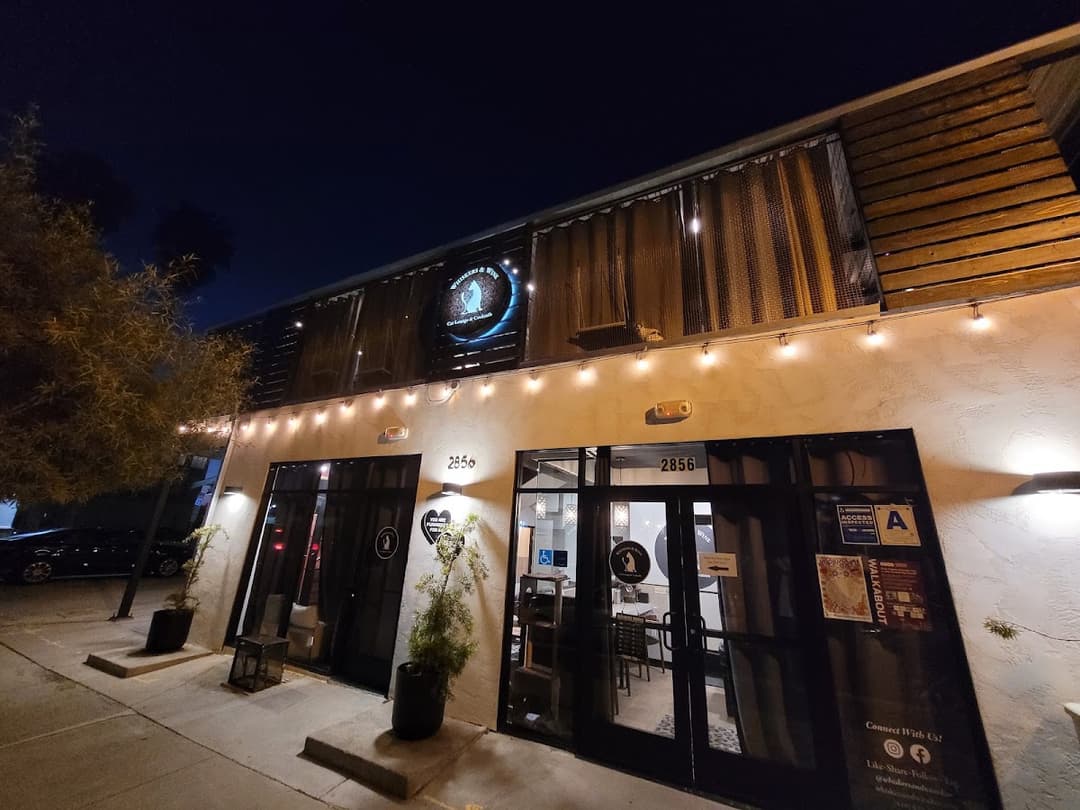 Whiskers & Wine Cat Cafe, a happy hour spot in San Diego